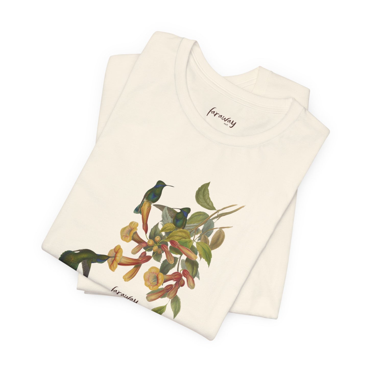 Hummingbird Family II