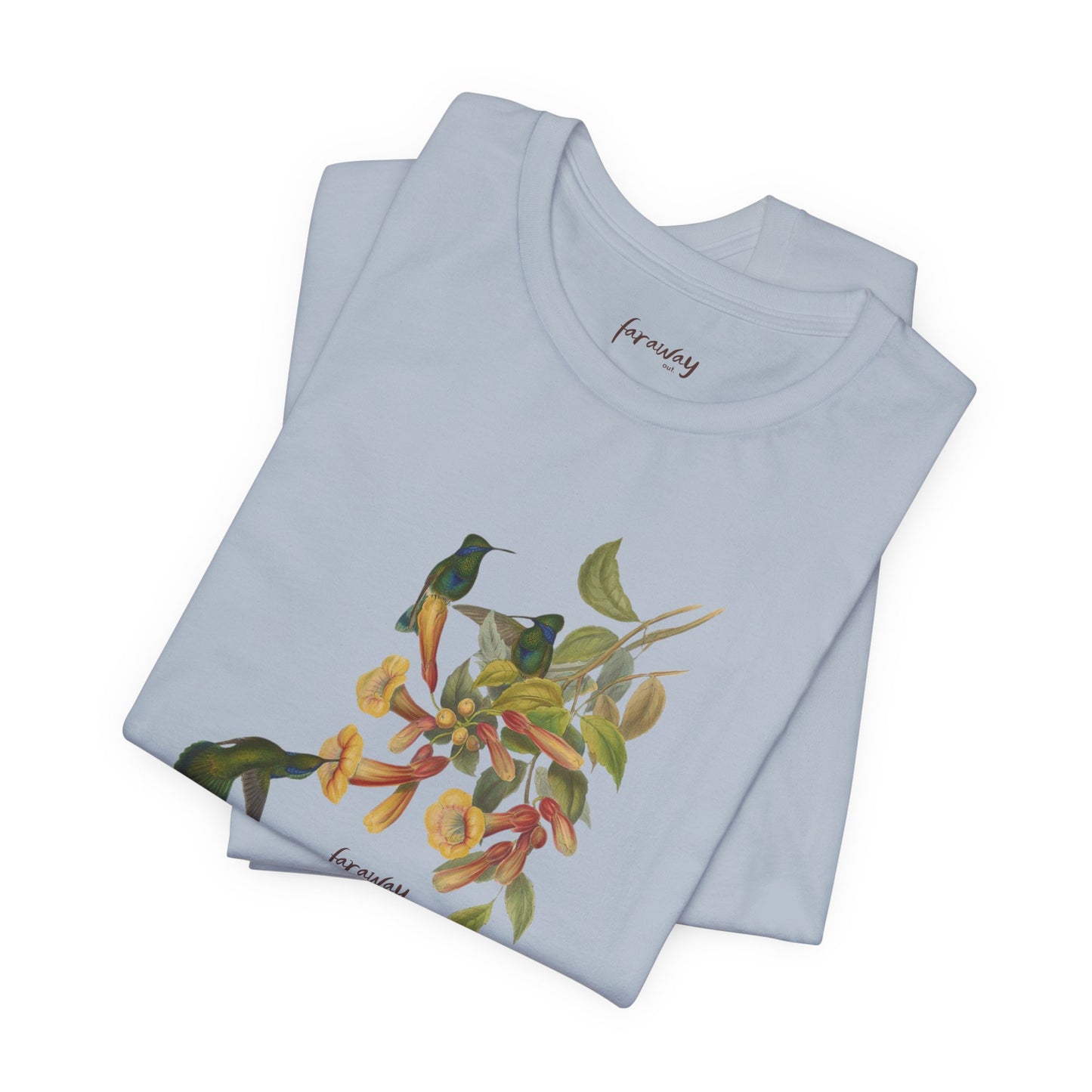 Hummingbird Family II