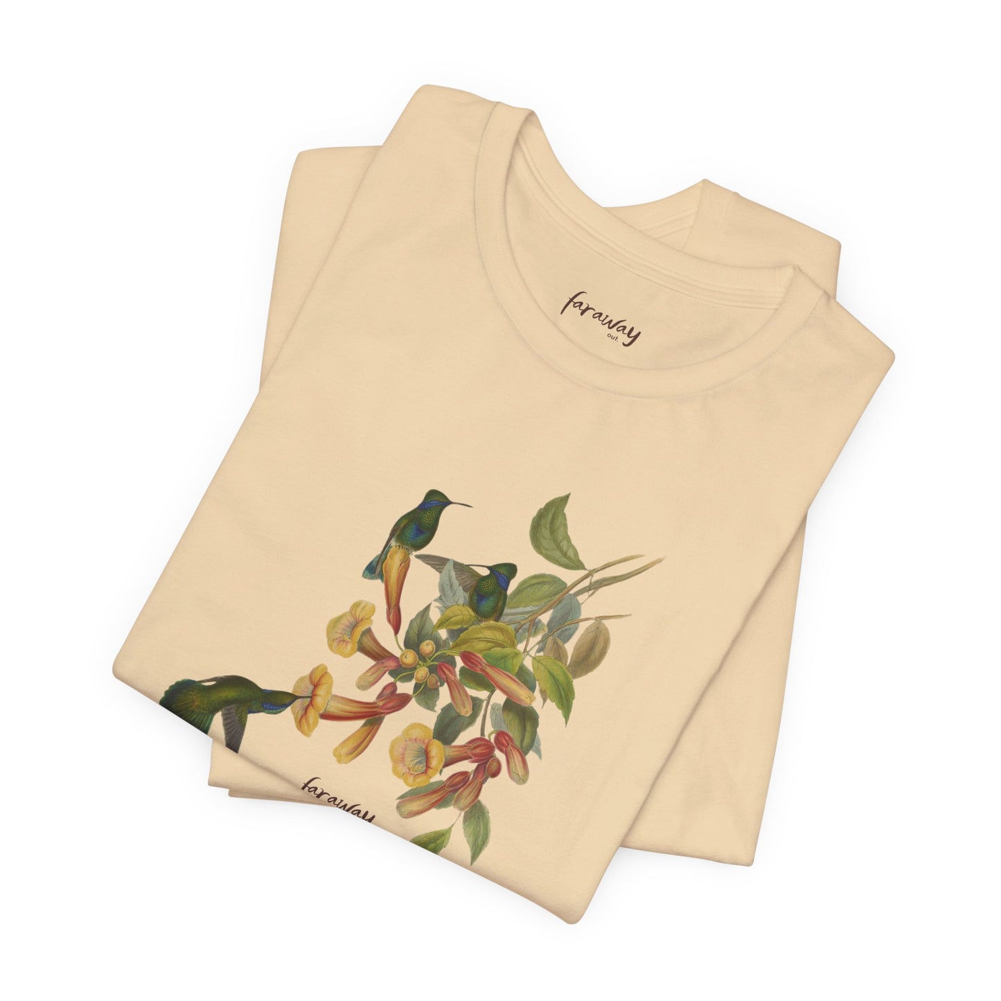 Hummingbird Family II