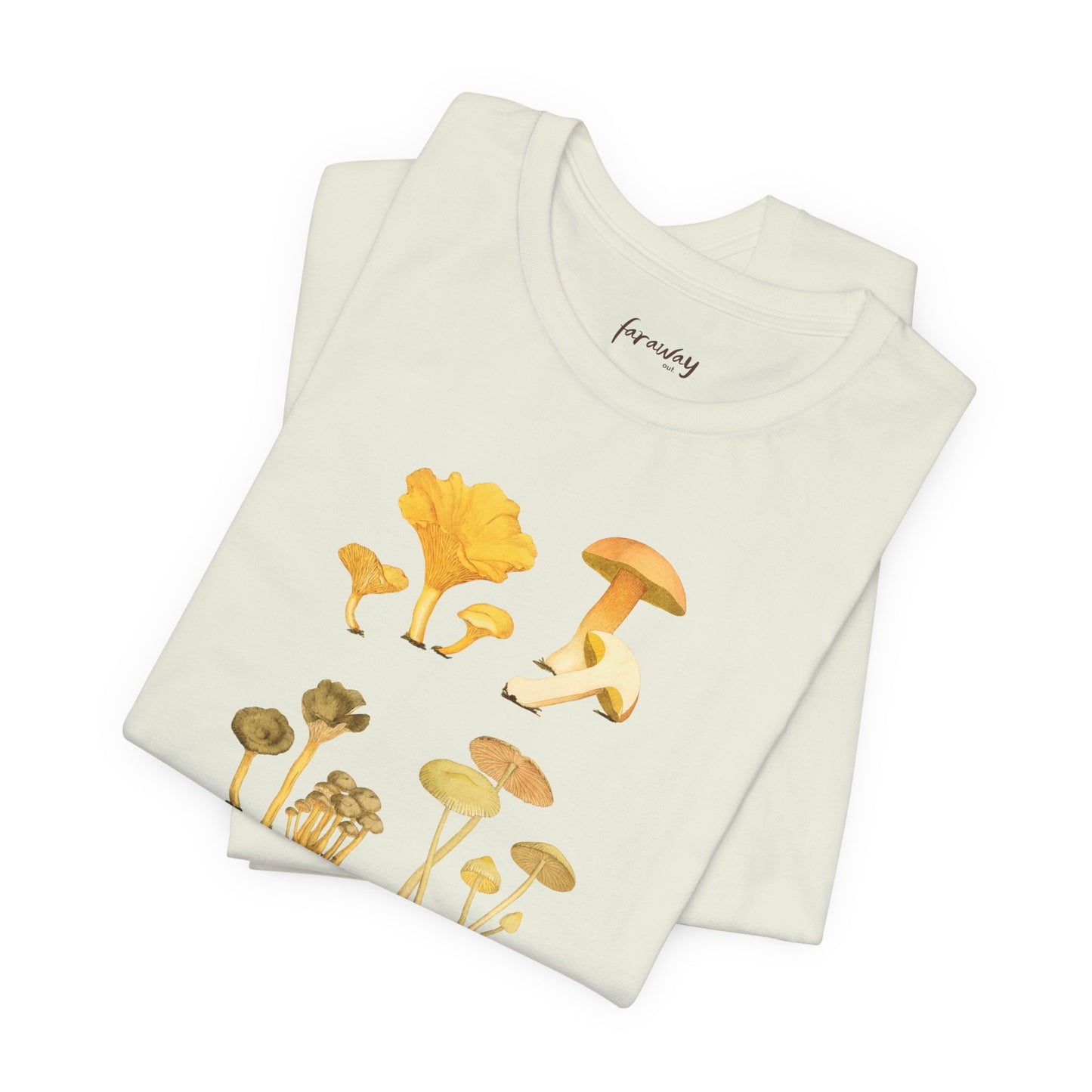 Fungi IV