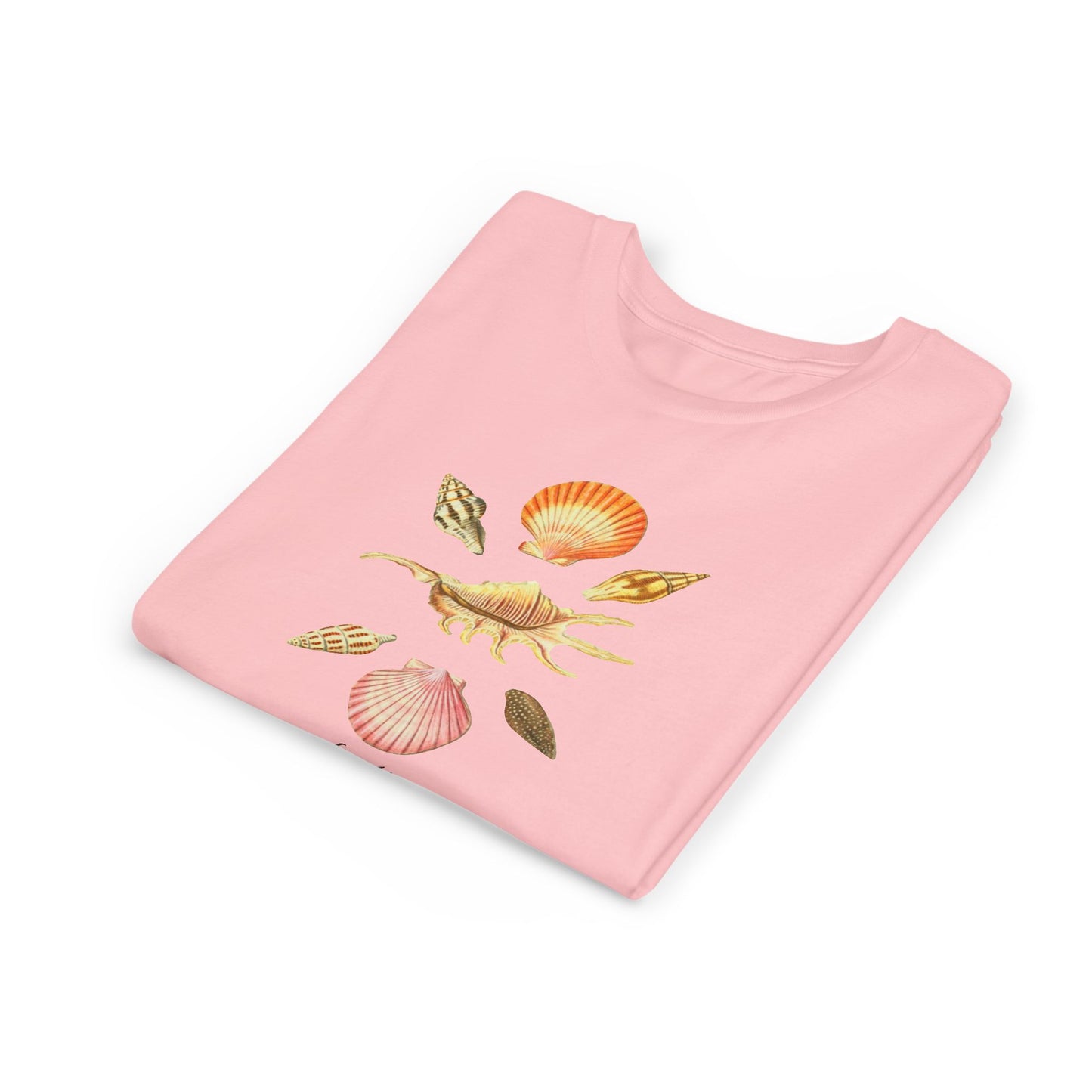 Shell Seeker ~ Kids
