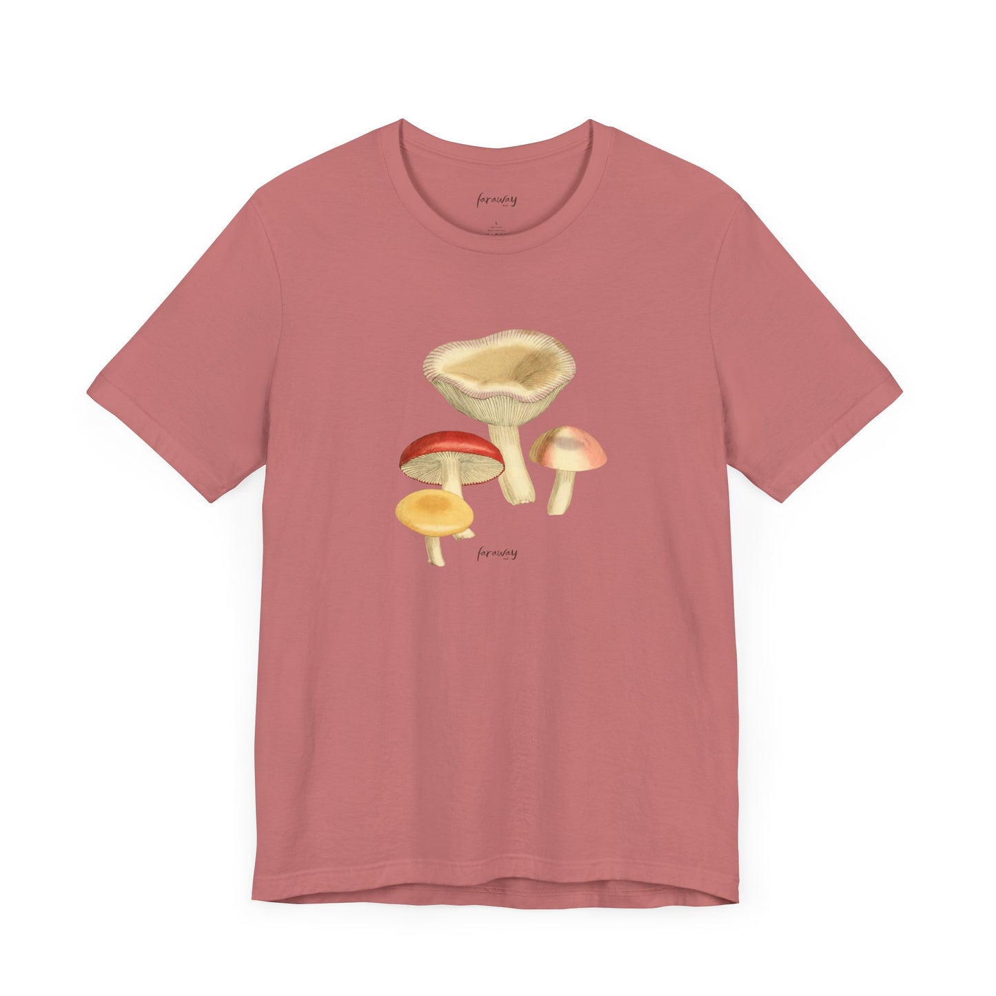 Fungi VI
