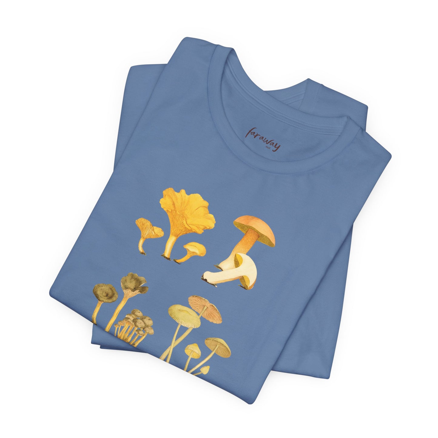 Fungi IV