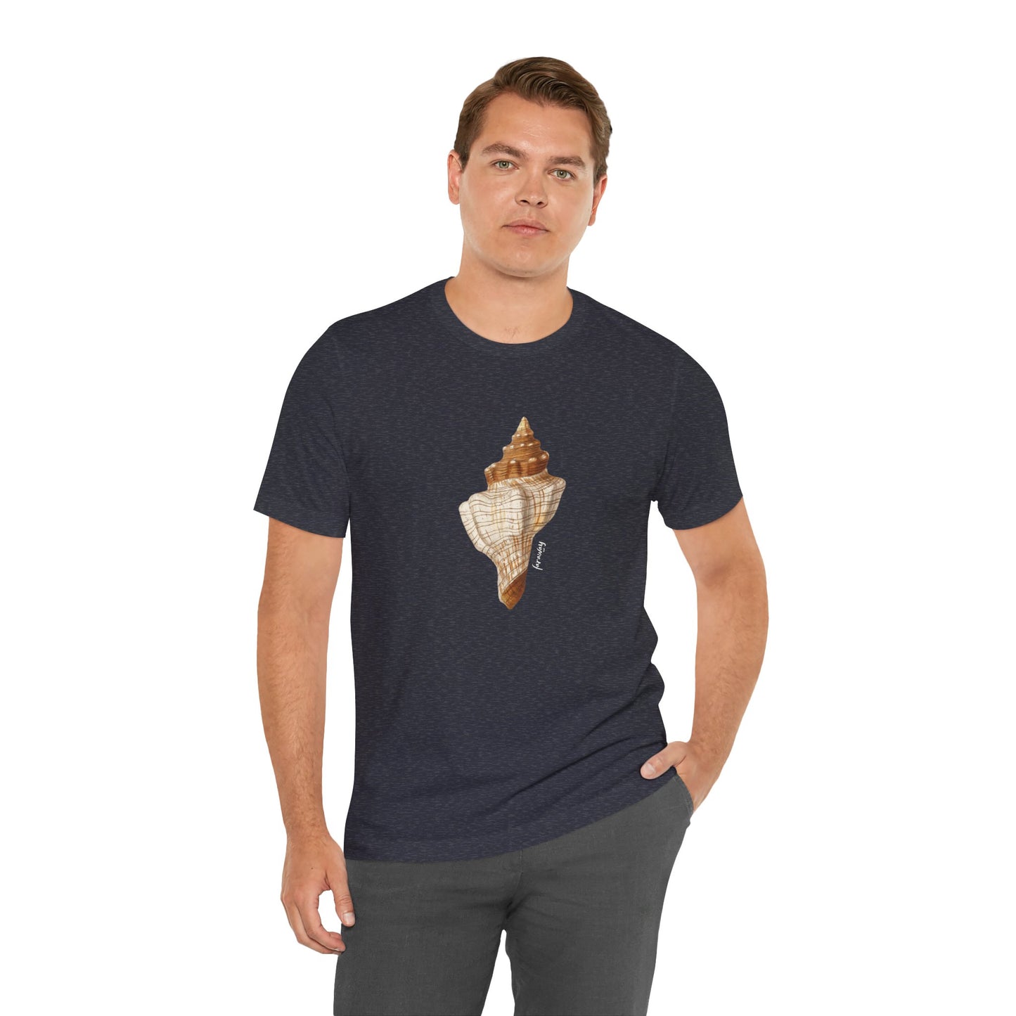Shell Seeker IV