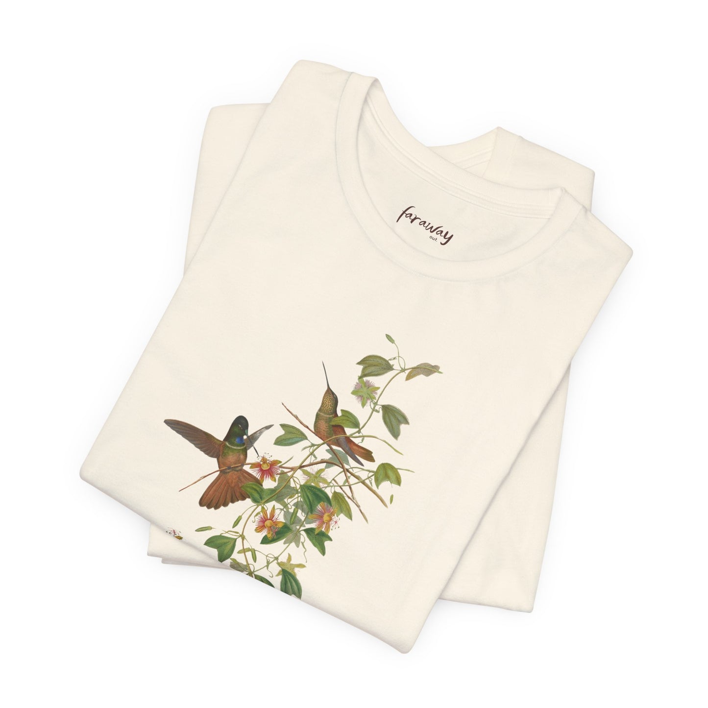 Hummingbird Family IV