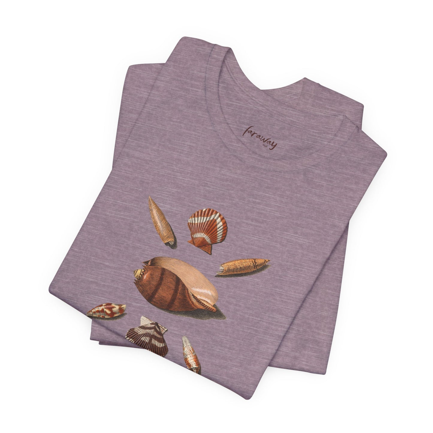 Shell Seeker VI
