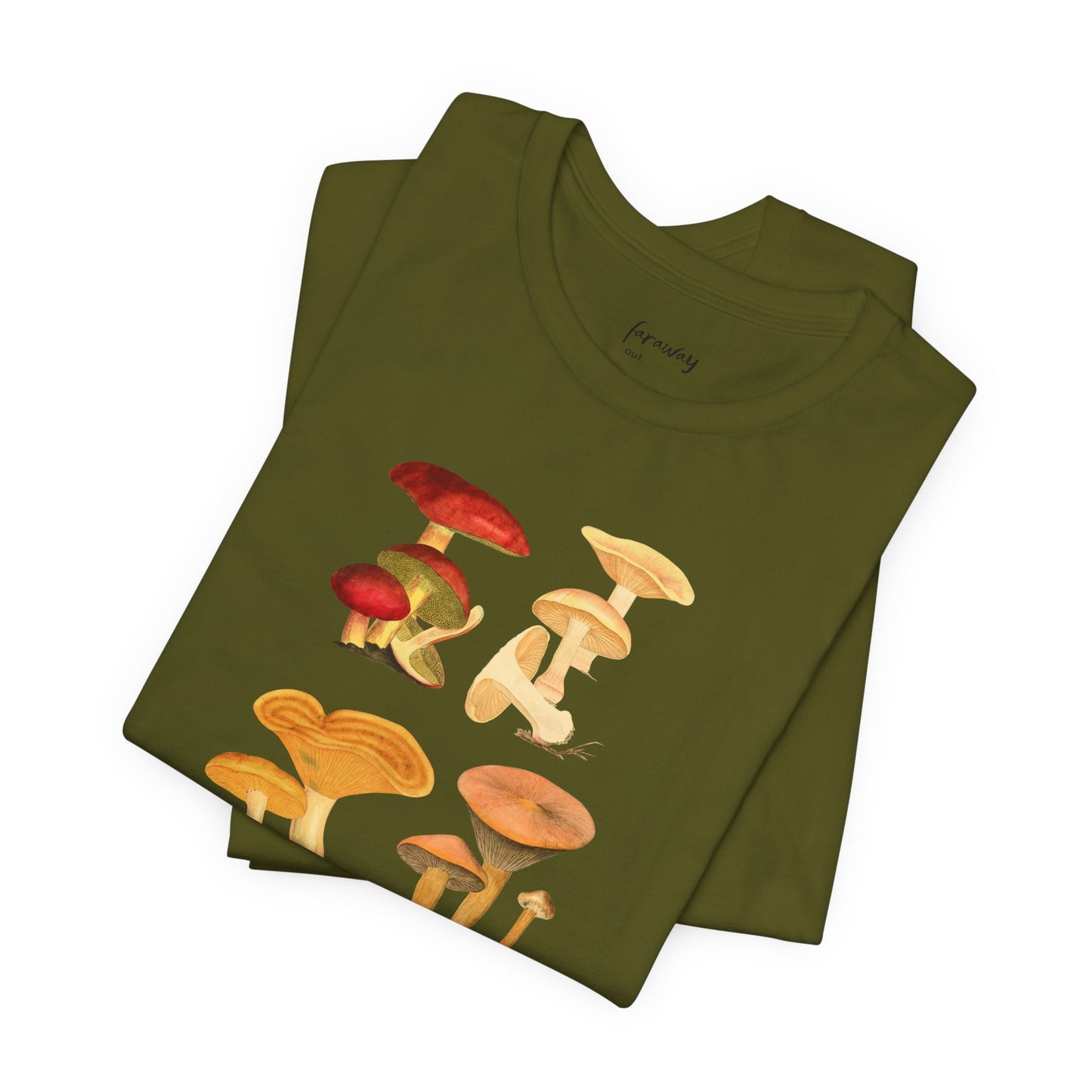 Fungi III