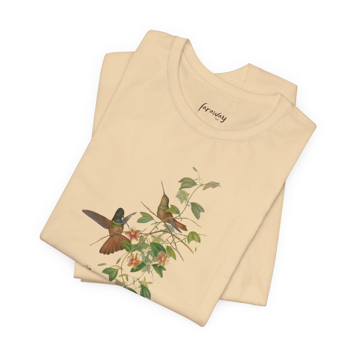Hummingbird Family IV
