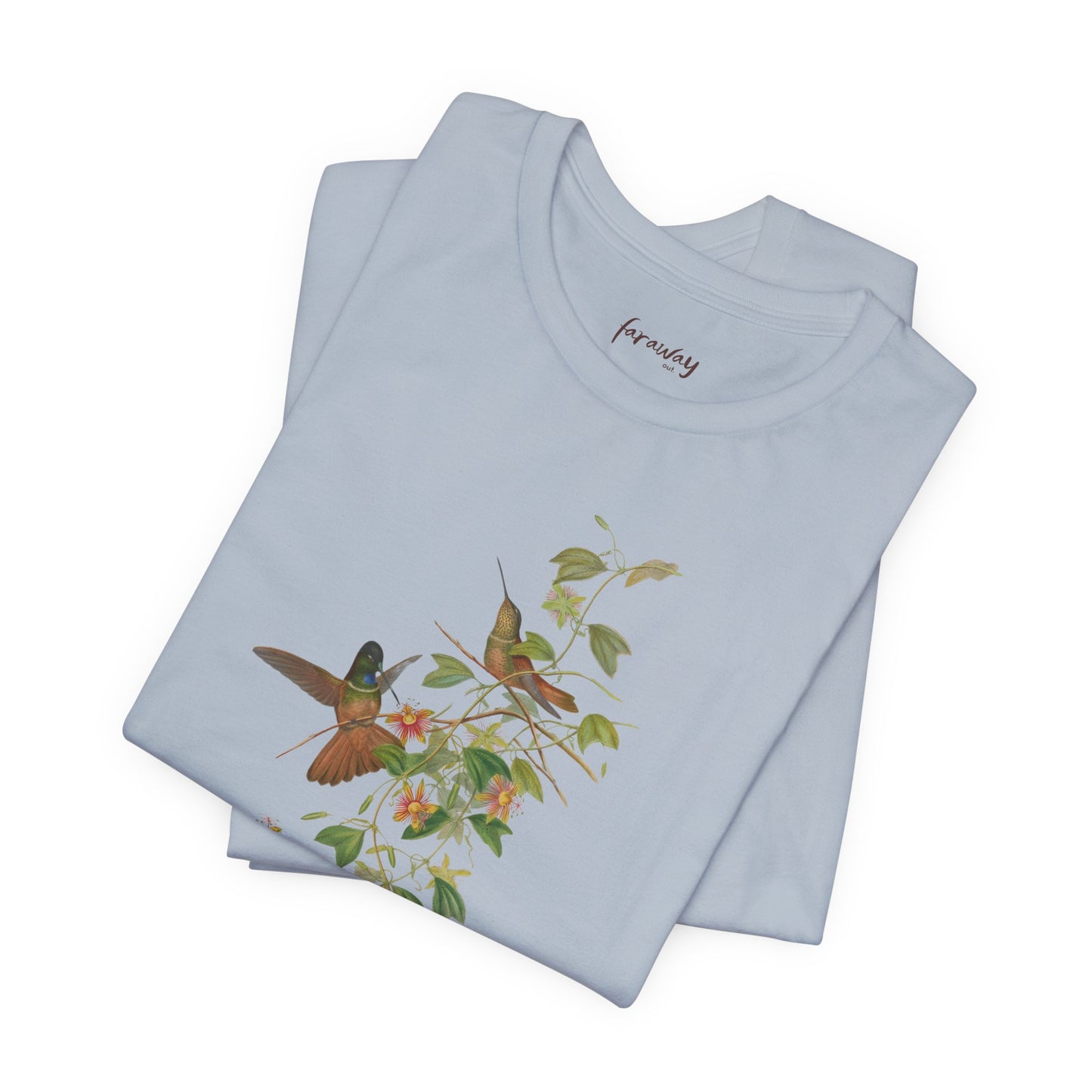 Hummingbird Family IV