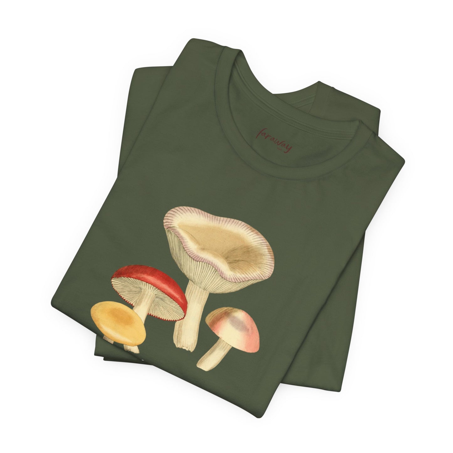 Fungi VI