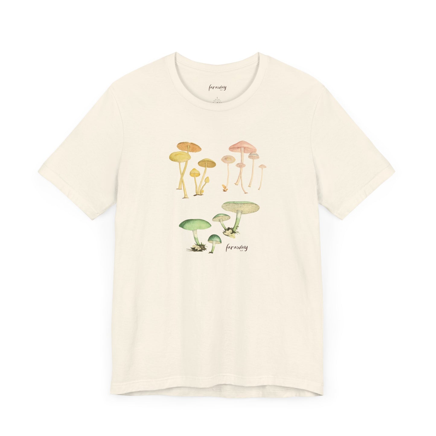 Fungi V