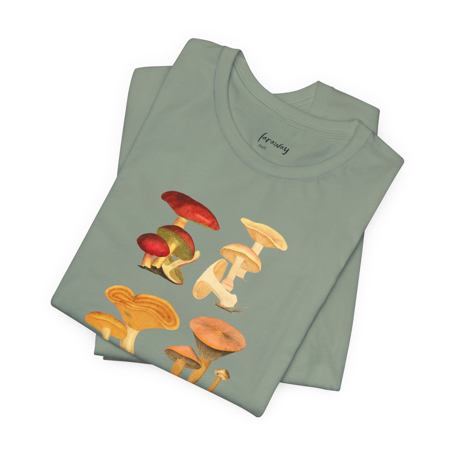 Fungi III