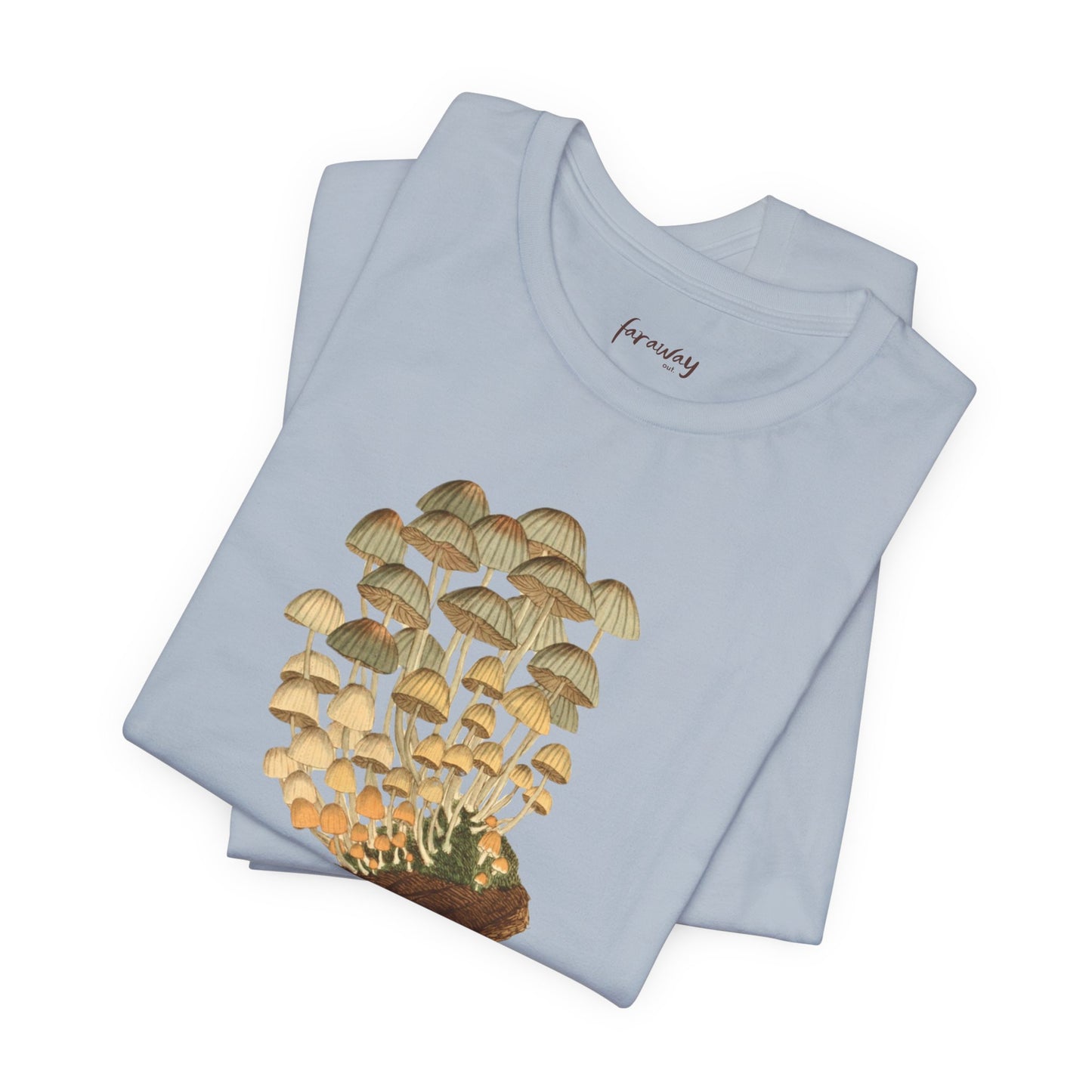 Fungi II