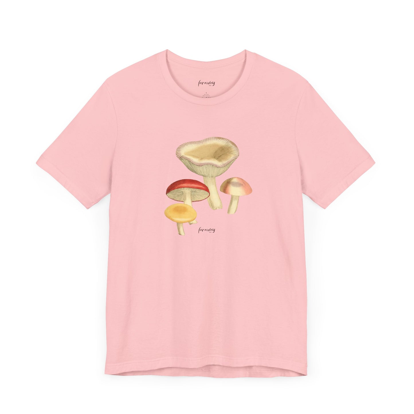Fungi VI