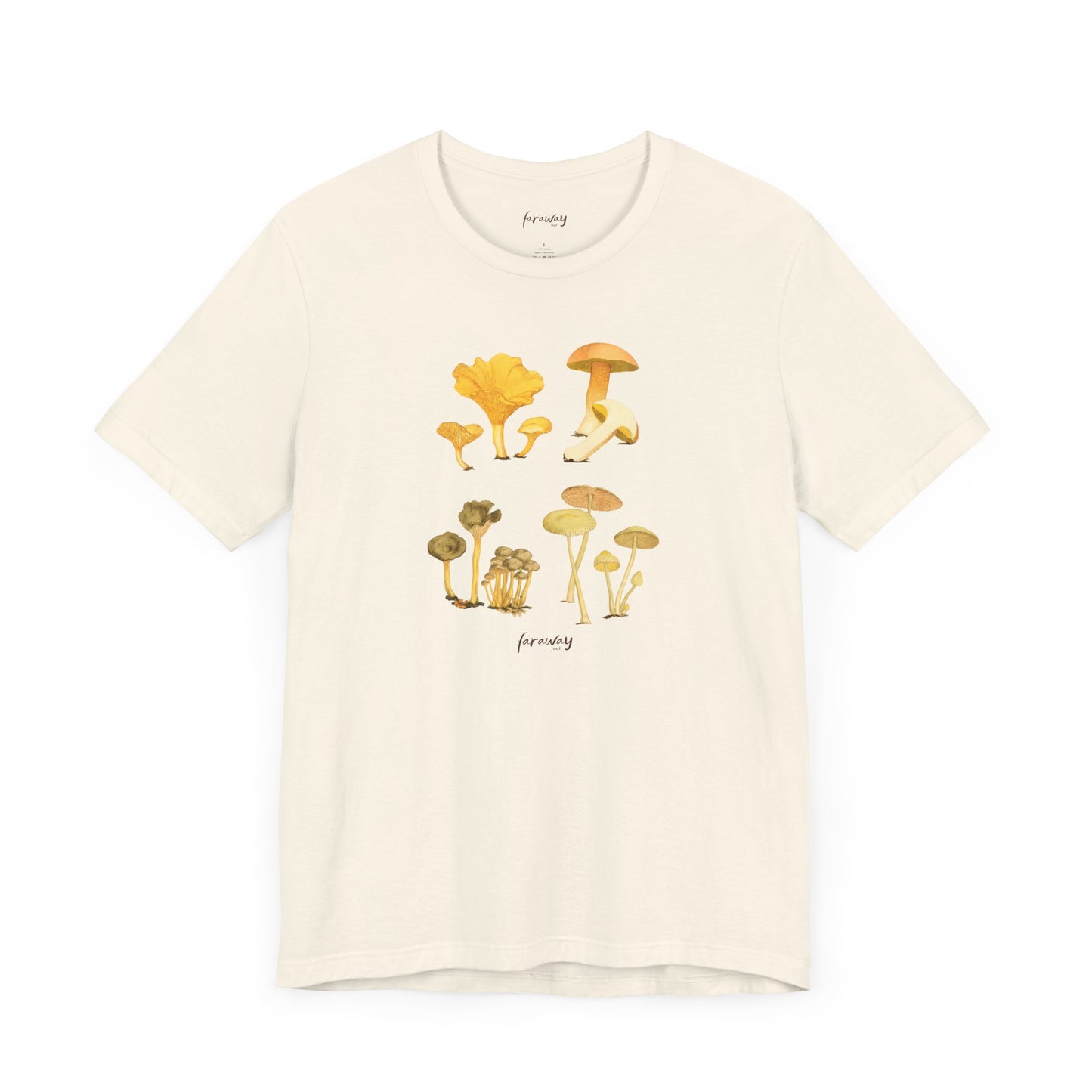 Fungi IV