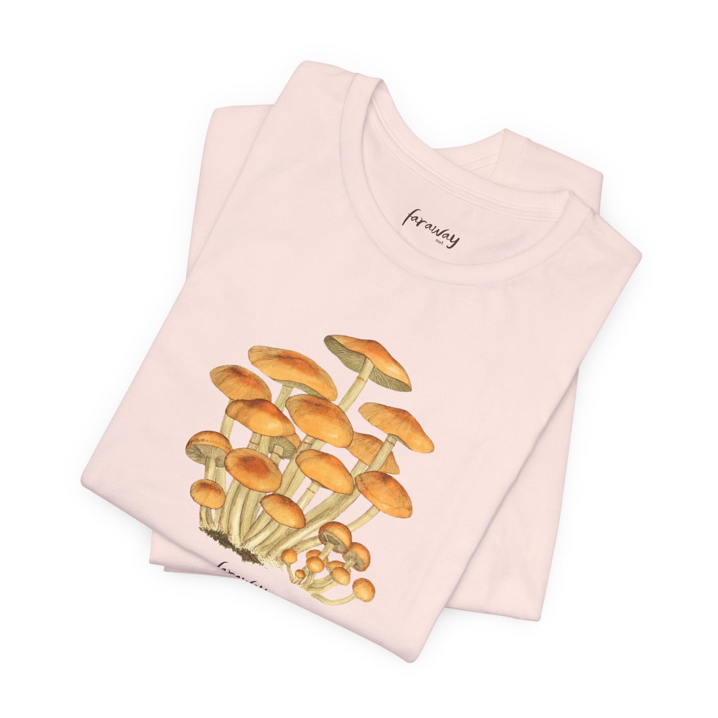 Fungi I