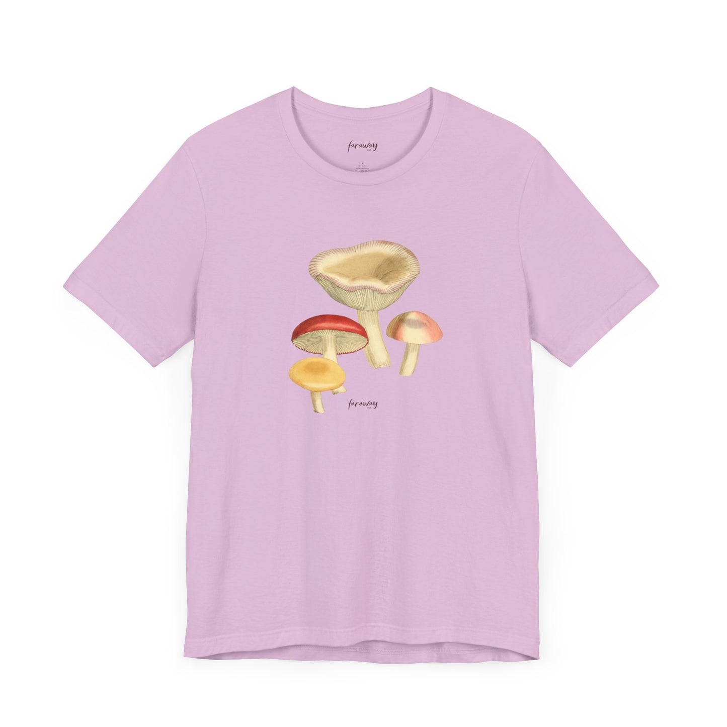 Fungi VI