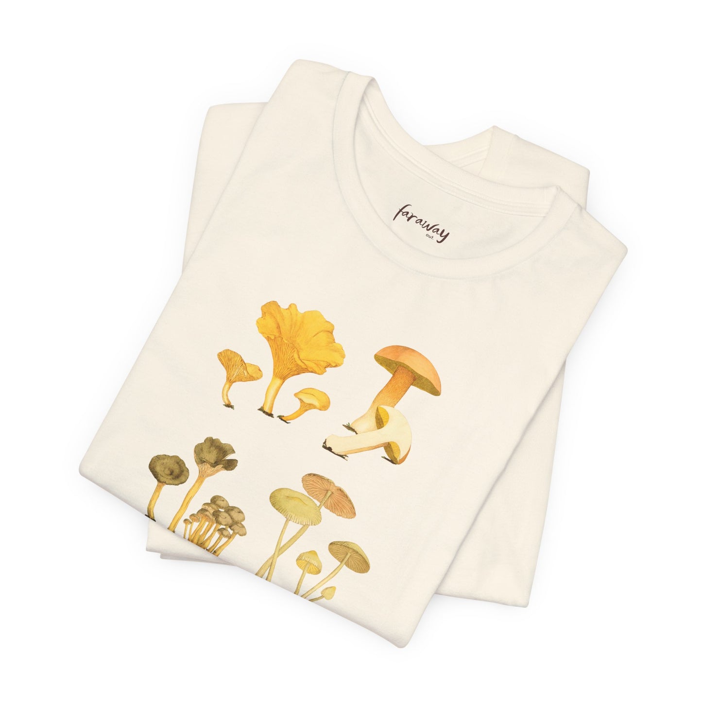 Fungi IV