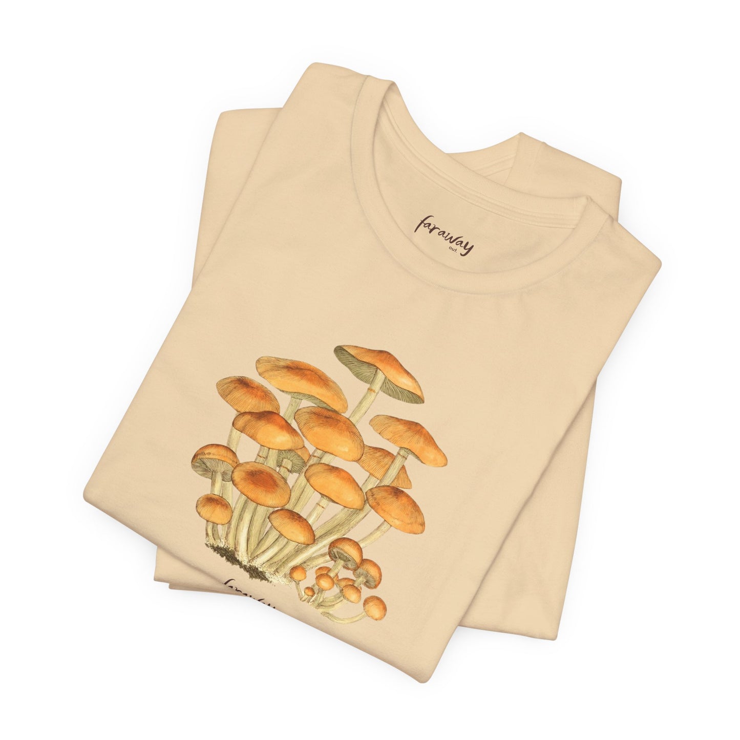 Fungi I