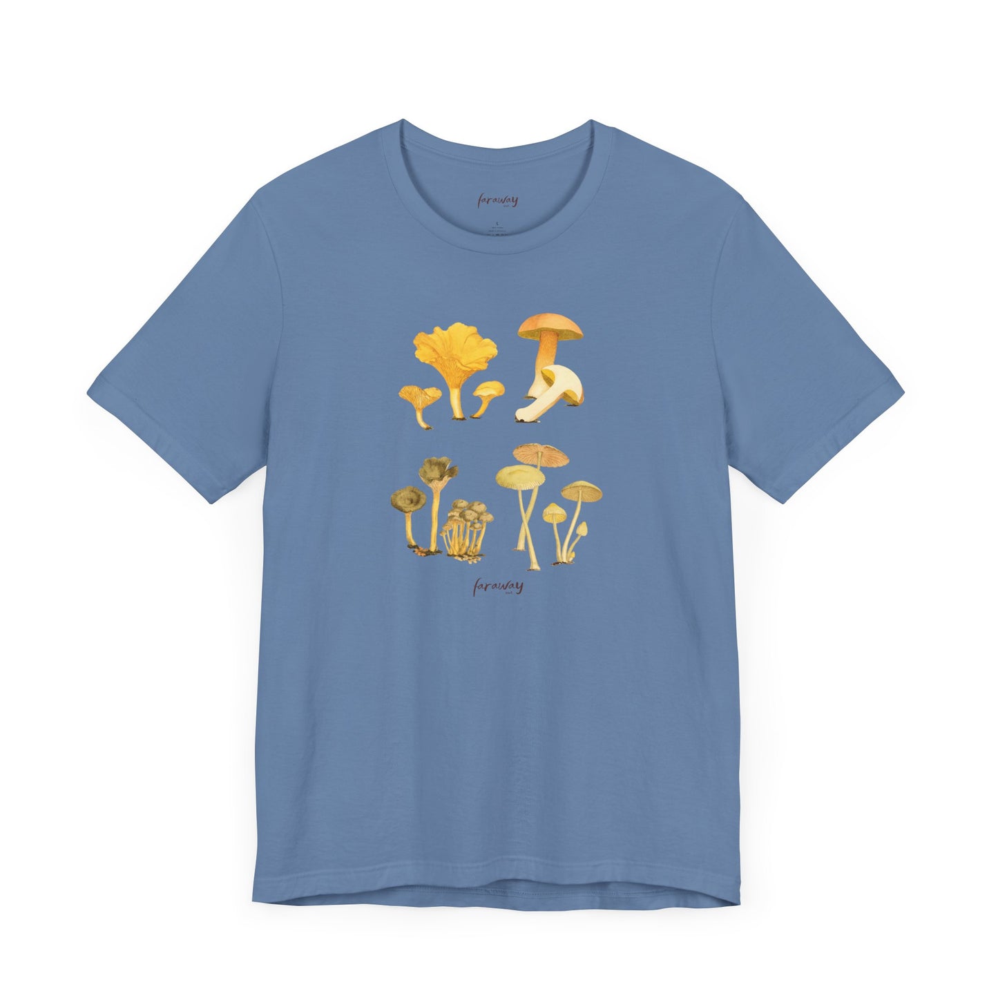 Fungi IV