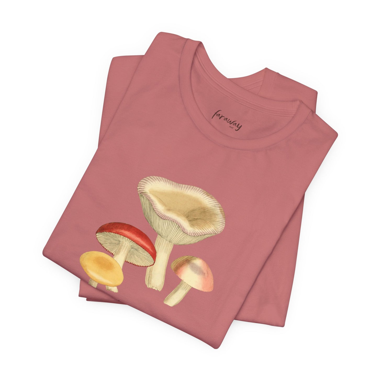 Fungi VI