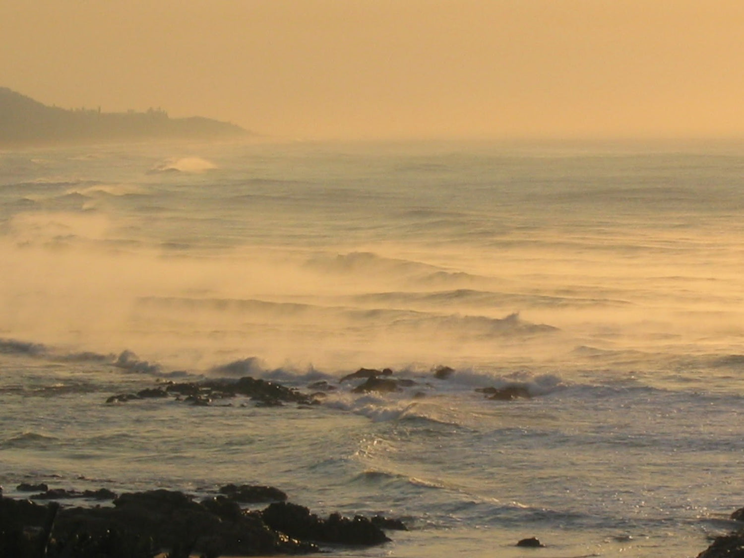 Marine series