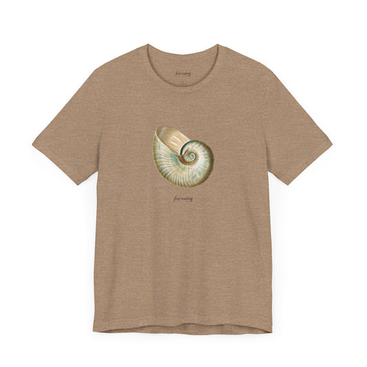 Shell Seeker II