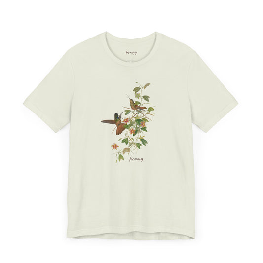 Hummingbird Family IV
