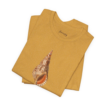 Shell Seeker III
