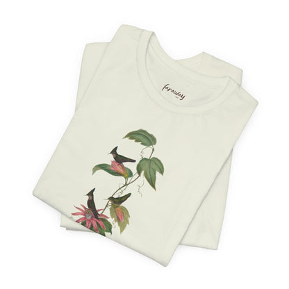 Hummingbird Family I