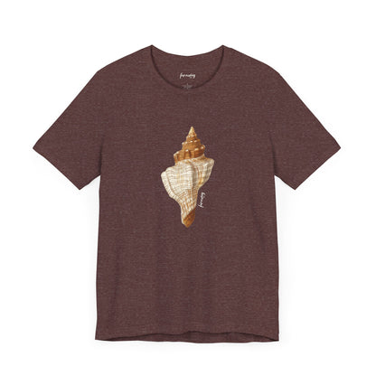 Shell Seeker IV
