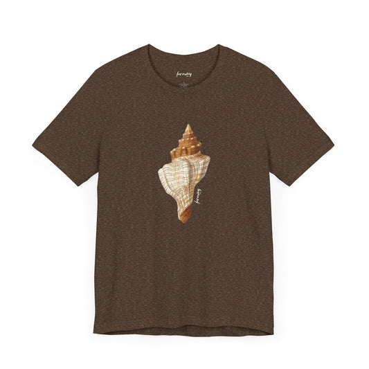 Shell Seeker IV