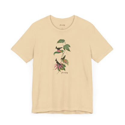 Hummingbird Family I