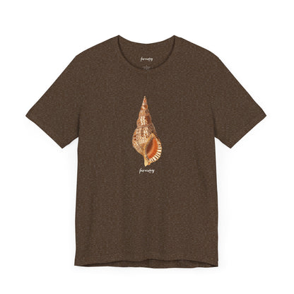 Shell Seeker III