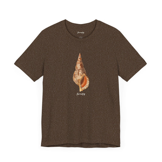 Shell Seeker III