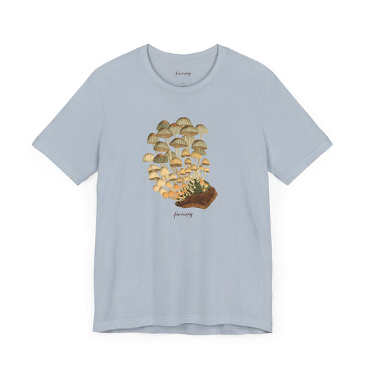 Fungi II
