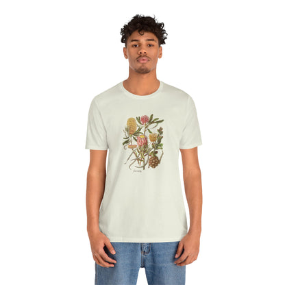 Protea Tribe