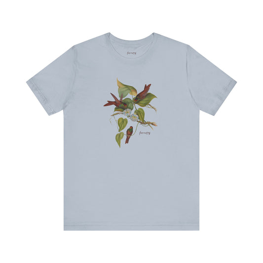 Hummingbird Family VI