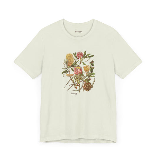 Protea Tribe