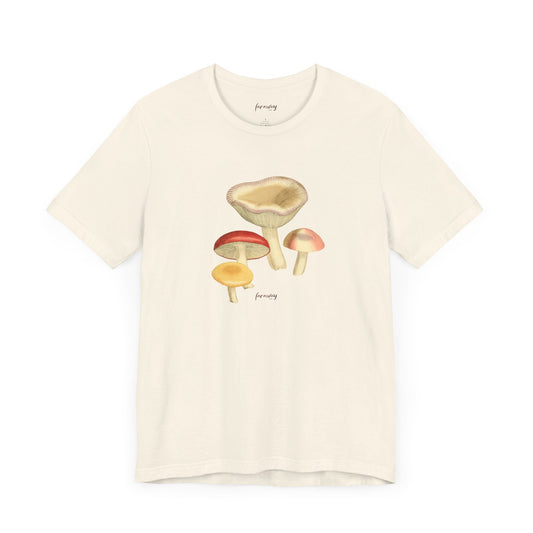 Fungi VI