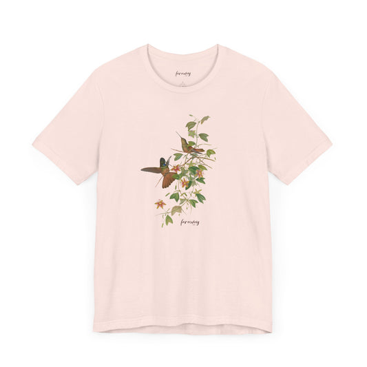 Hummingbird Family IV