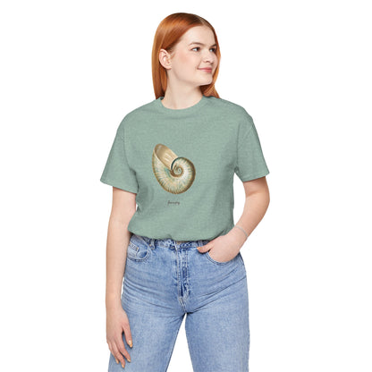 Shell Seeker II