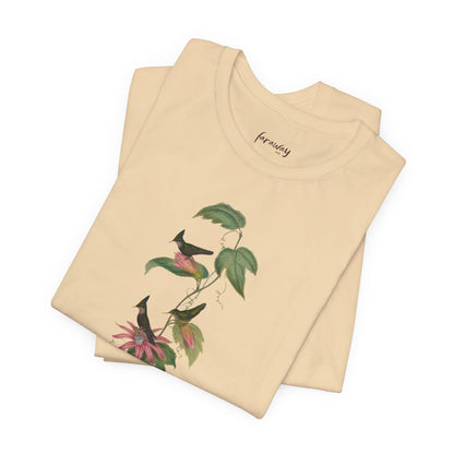 Hummingbird Family I
