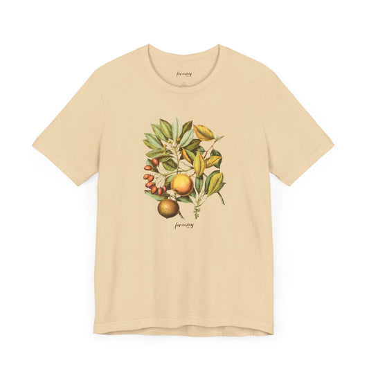 Sapodilla Tribe