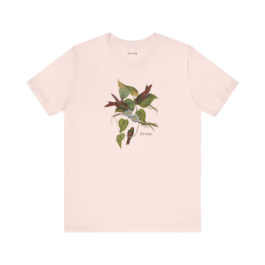 Hummingbird Family VI