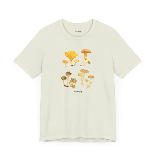 Fungi IV