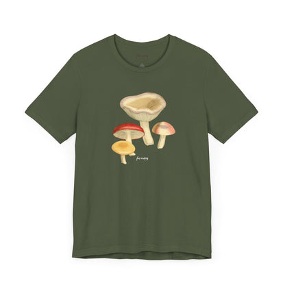 Fungi VI