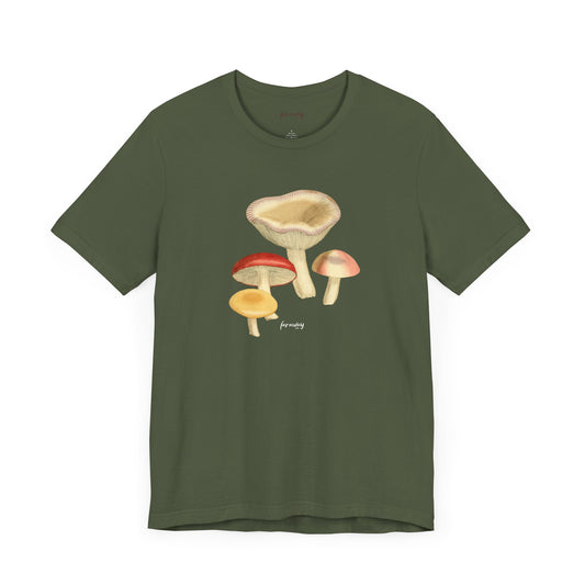 Fungi VI