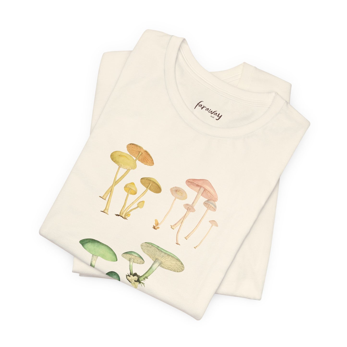 Fungi V
