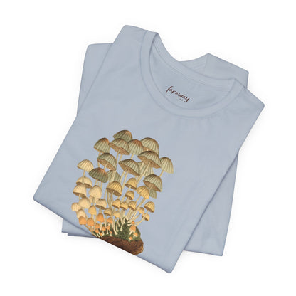 Fungi II